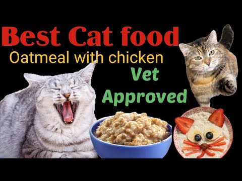 Homemade Cat Food Recipe Every Cat Will Love  / Homemade cat food recipe with chicken and oatmeal