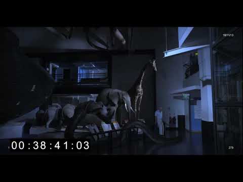 Natural History Museum Alive "Titanoba" Rescore