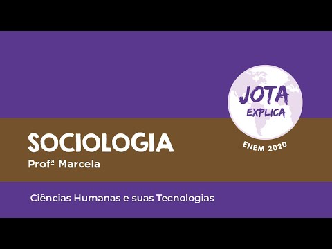 SOCIOLOGIA AULA 08 - Divisão Social do Trabalho (Profa Marcela)