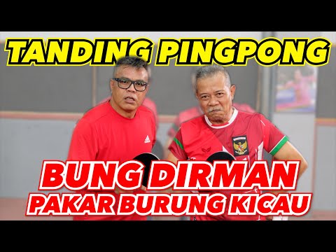 TANDING PINGPONG LAWAN BUNG DIRMAN BABEHNYA AFIF - PAKAR BURUNG KICAU