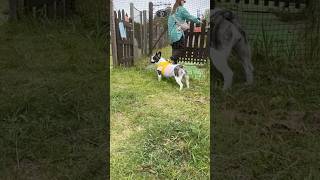 オフ会に着いた瞬間に出口を目指すフレブル