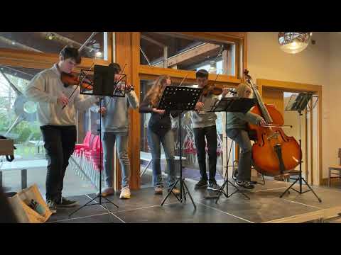 Teddy Bor - Mc Mozart's Eine Kleine Bricht Moonlicht Nicht Musik (Live Performance)