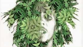 Bob Marley &#39;Ganja Gun&#39; (animated)