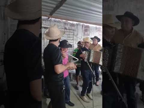 machadinho dos oitos Baixos forró em Rafael jambeiro Bahia #nordeste #playvaquejada #musica #cavalo