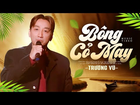 BÔNG CỎ MAY - TRƯỜNG VŨ | Nhạc Xưa Bất Hủ Cực Hay