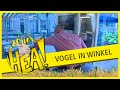 HEA CLASSIC! Vogel in de boekenwinkel