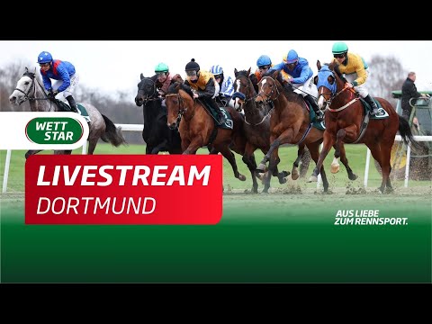 Livestream Dortmund 28.12.