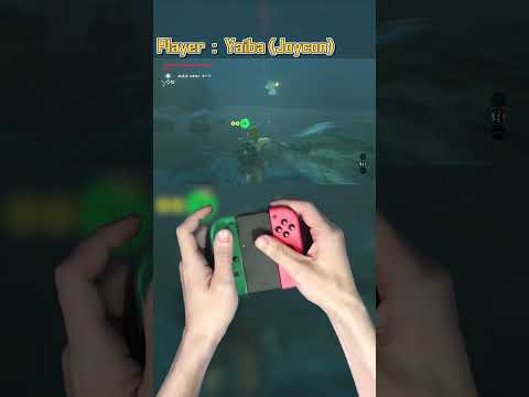 Trial of the Sword - Beginning Trials - Floor 9 Speedrun #zelda  #thelegendofzelda #shorts