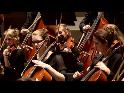 Nederlands Studenten Orkest 2011 -  Marijn Simons: Moriae Encomium
