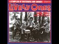 The Lively Ones - Misirlou