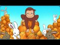 Curious George Pumpkin Boo Full Game Curious George Games
