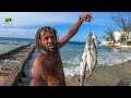 It Turn Out Good For Us Today While Spearfishing | Barracuda Catch & Cook