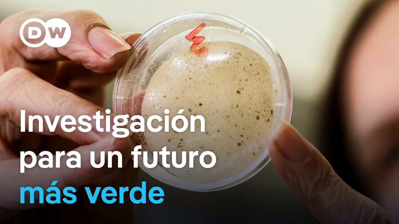 Bioplástico: Innovaciones contra el cambio climático | DW Documental