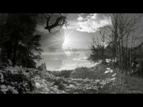 To One Paradise video thumbnail