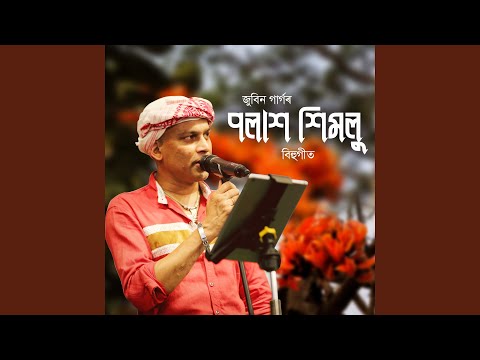 Palash Himolu Cover