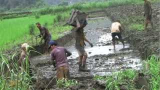 preview picture of video 'Tam Coc - Baie d'Halong terrestre'