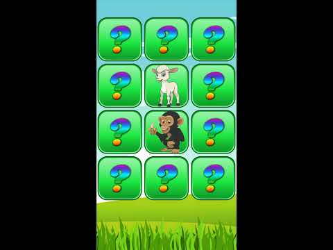 Brain game with animals Video