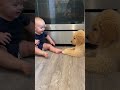 Just a baby loving on his puppy❤️ #baby #puppy #goldenretriever