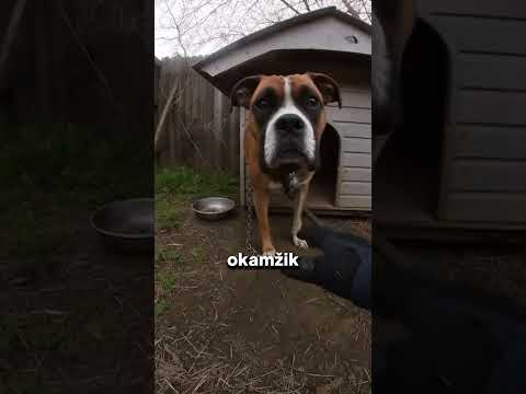 Ještě že ho našli! 😖 #shorts