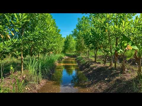 This Farm Keeps Every Drop of Rain & NEVER Uses Fertilizer