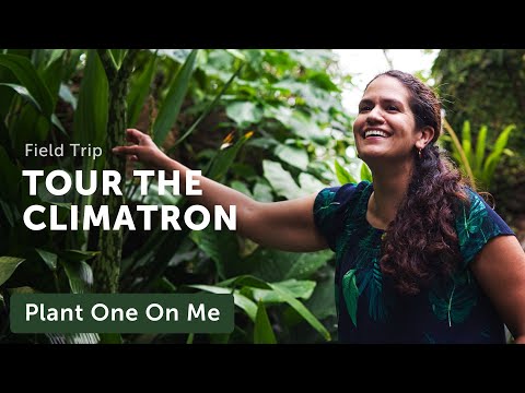 CLIMATRON TOUR at the Missouri Botanical Garden — Ep. 255