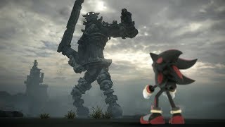 Shadow the Hedgehog of the Colossus