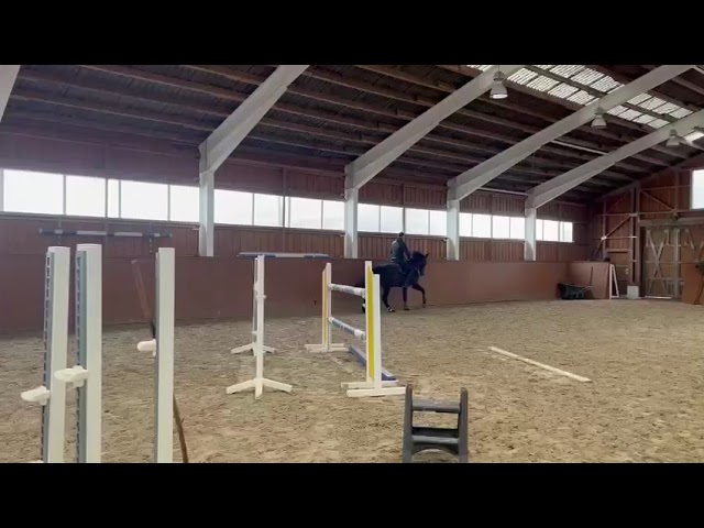 Cairassi Classic Training