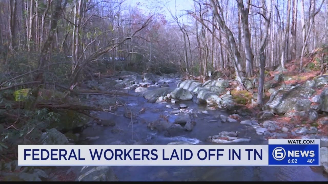 Federal workers laid off in TN