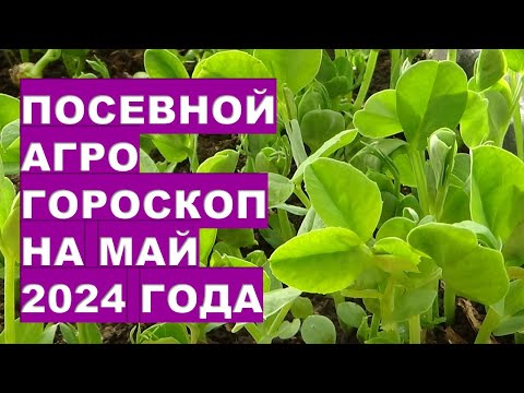 , title : 'Посевной агрогороскоп на май 2024 года Sowing agrohoroscope for May 2024'