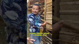 Download lagu N Level 1 ( Biosaka jilid 2) kohe kambing bau ilang sekejab.Silahkan yang mau meneliti#hanikchannel mp3