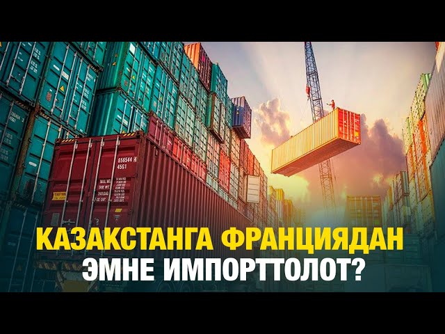 Казакстанга Франциядан эмне импорттолот?
