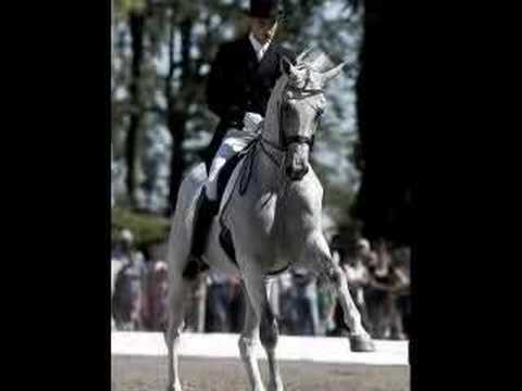 ANDREAS HELGSTRAND on BLUE HORS MATINE in the - WEG2006 Freestyle Final