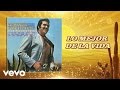 Vicente Fernández - Lo Mejor de la Vida (Cover Audio)