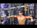 Full 1 Week Gym Program 5 Day Muscle Split 5daysplit Weeklyworkout Workoutprogram