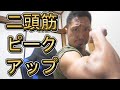 【ライブ】二頭筋のピークがアップしました♪