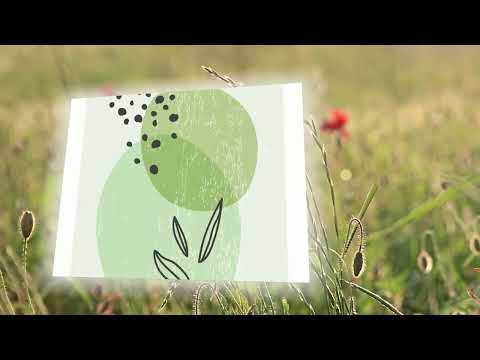 Trả lại cho đời Sheet - Duy Trác