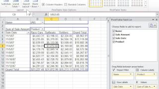Excel 2010 Change the Layout of a PivotTable