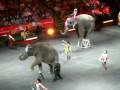Ringling Brothers Circus 2009