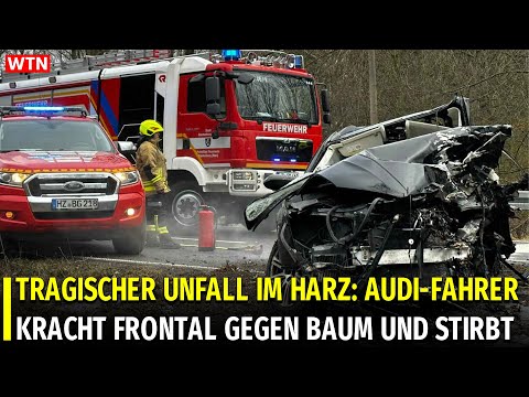 TRAGISCHER UNFALL IM HARZ: AUDI-FAHRER KRACHT FRONTAL GEGEN BAUM UND STIRBT  #germany