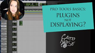 Pro Tools Basics: Plugins Not Displaying, Plugins Not Showing