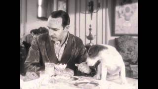 Жан Дюжарден в фильме "Артист"