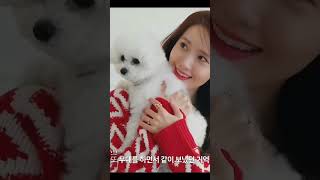 Download lagu #yoona #imyoonah #angel #shorts mp3 Download lagu #yoona #imyoonah #angel #shorts mp3