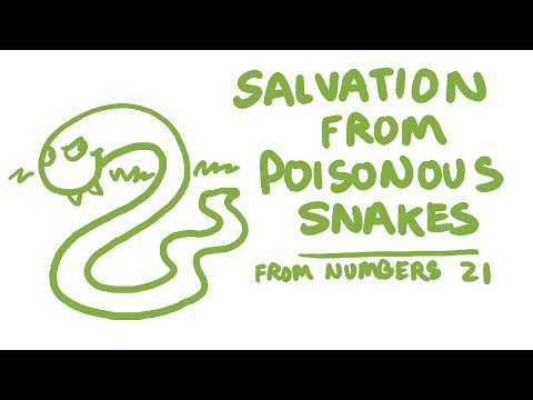 Salvation from Poisonous Snakes Bible Animation (Numbers 21)
