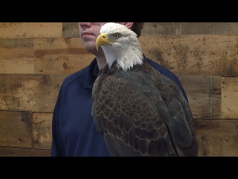 Weekend Rundown with WLLR | Jan. 15, 2026