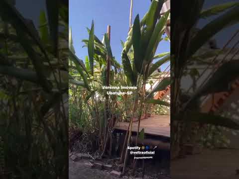 Casa no bairro Parque Vivamar estilo rústico