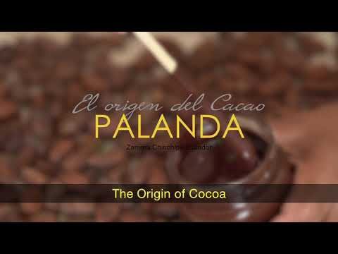 The Origin of Cacao