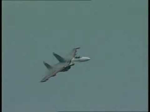 Su-27 Russian Knights - Sukhoi Family