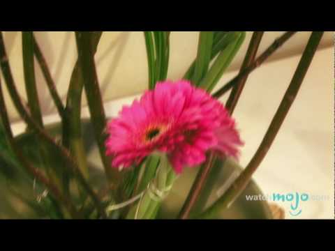 Ikebana Art: How To Arrange Flowers