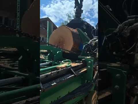 SpaltFast Cut - letzter Test vor der KWF-Tagung 2024 mit starken Buchen