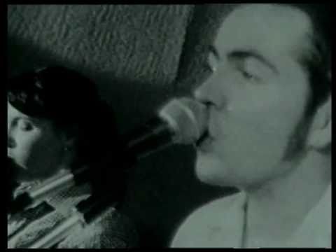 Pollen - Million Destinations